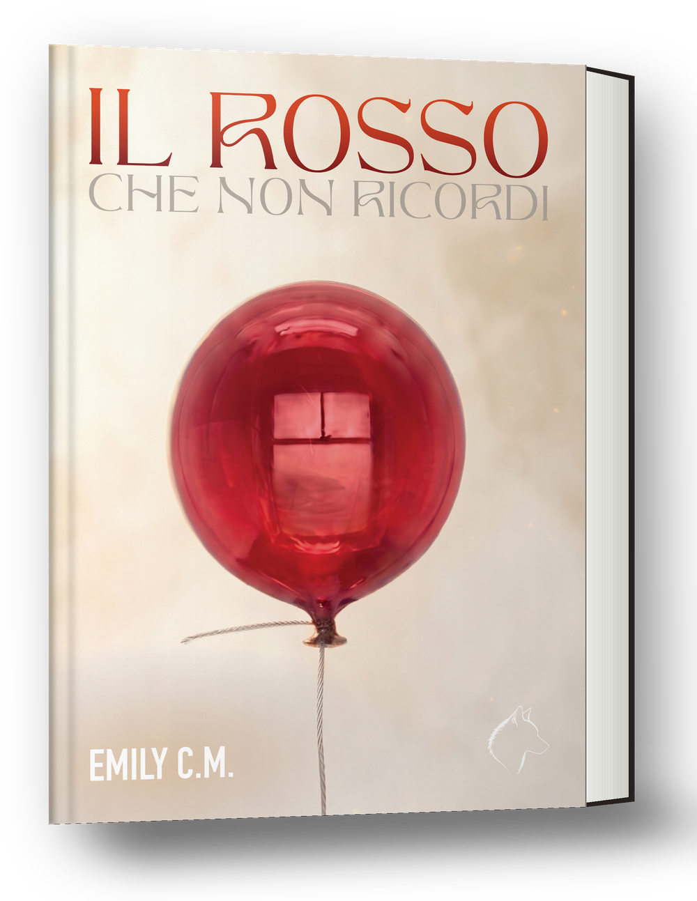 Il rosso che non ricordi di Emily C.M.